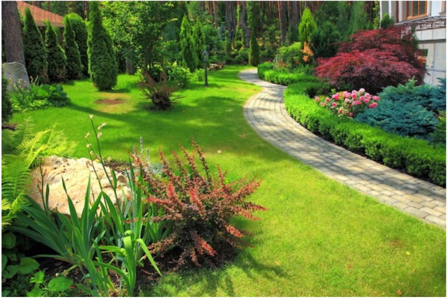 Transform Your Outdoor Space with Greener Grass Landscaping in Mount Pleasant, SC