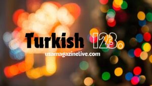 Turkish123-300x169 Turkish123: Redefining Turkish Entertainment inside the Digital Age