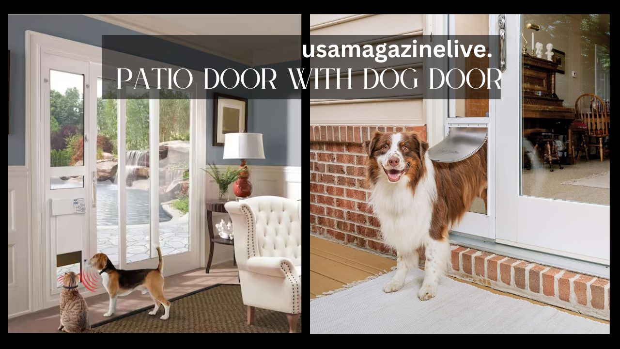 Patio Door with Dog Door